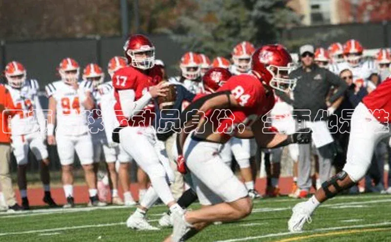 米兰官方手机app网站阿里尔公司巴顿足球运动员身份，全面他是谁