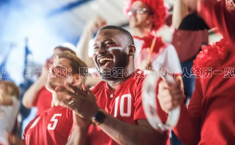 米兰体育中心挪威主权基金足球明星杨鸣：职业生涯、荣誉和个人经历一览