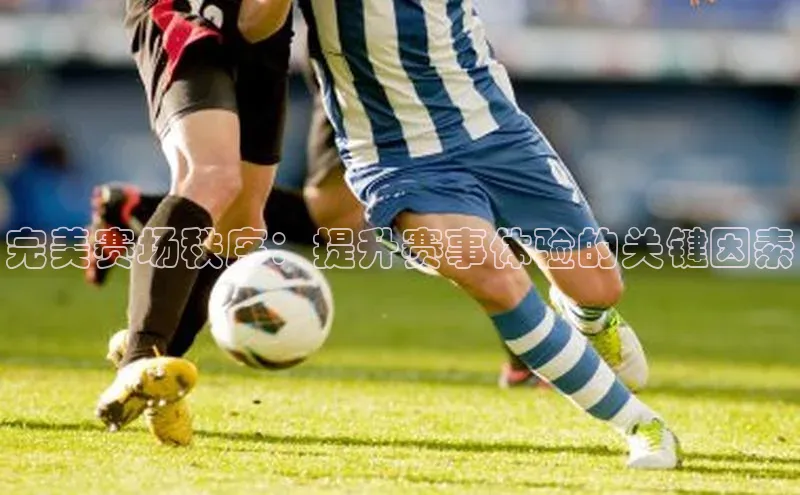 米兰·全站app登录app百度取证完美赛场秩序：提升赛事体验的关键因素