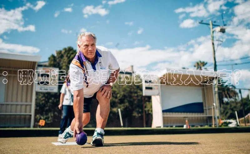 ：哪项运动赛事的奖金收入最高？