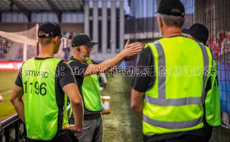 飞跃极限：fise极限运动赛事的巅峰对决