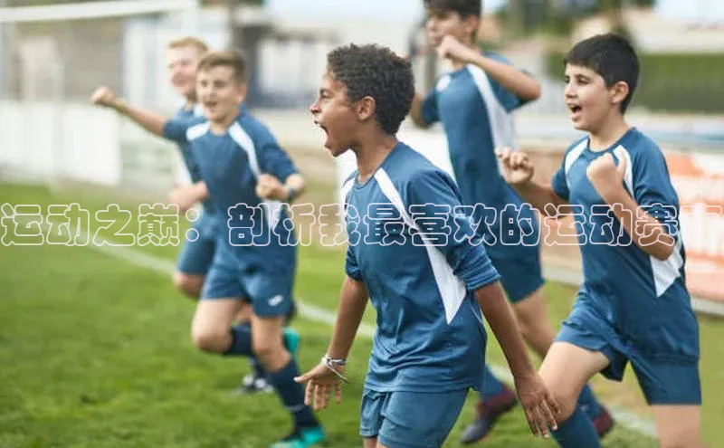 运动之巅：剖析我最喜欢的运动赛事