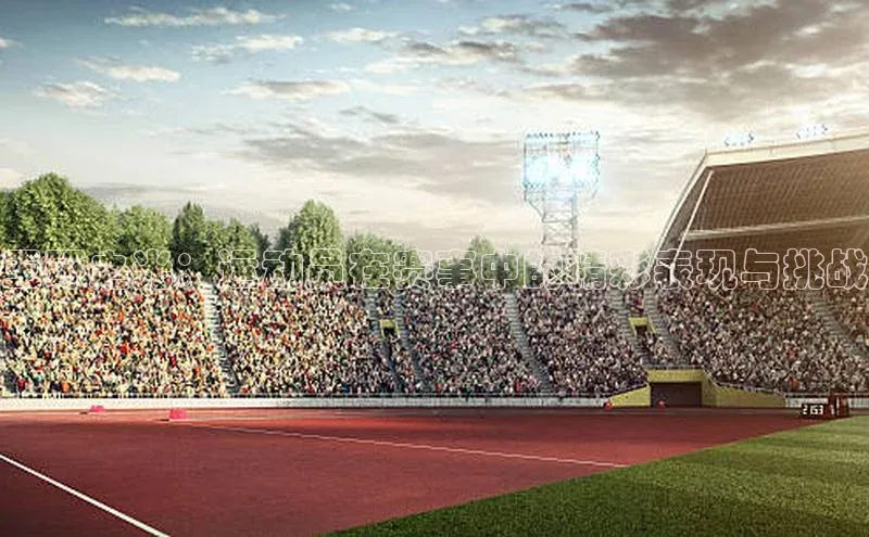 玉环之光：运动员在赛事中的精彩表现与挑战