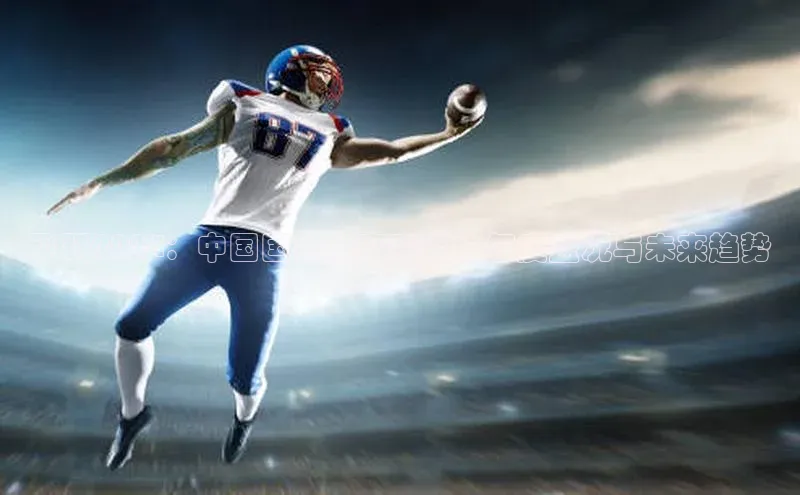 飞跃2024：中国国内体育赛事的年度盛况与未来趋势