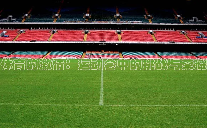 体育的激情：运动会中的挑战与荣耀