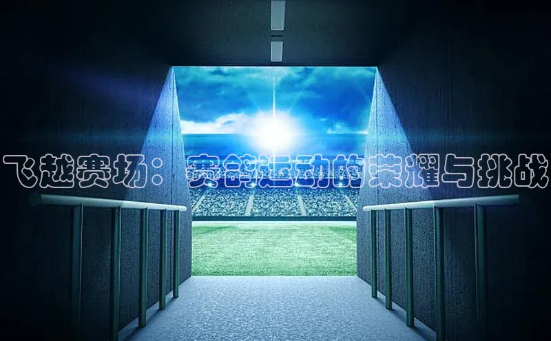 飞越赛场：赛鸽运动的荣耀与挑战