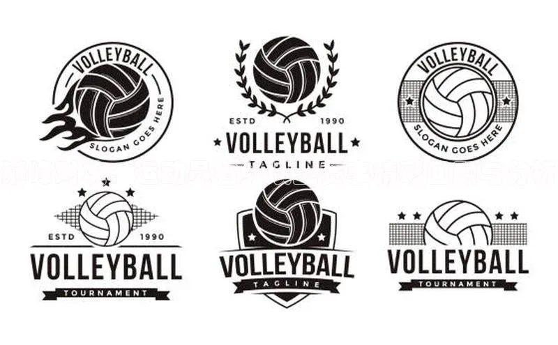 巅峰对决：运动员省级以上赛事精彩回顾与分析