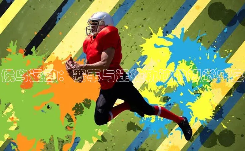 候鸟运动：赛事与迁徙轨迹的视觉盛宴