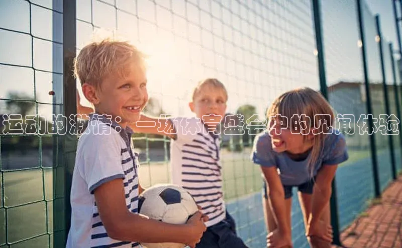 运动的激情：一场体育盛会中的见闻体验