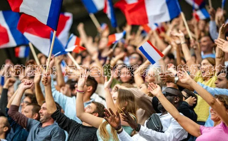 米兰app官方入口下载