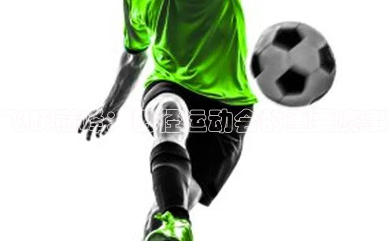 飞跃巅峰：田径运动会的重要赛事